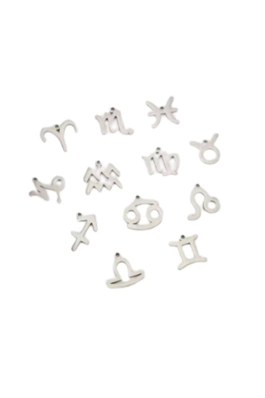 The Zodiac Charm in Silver