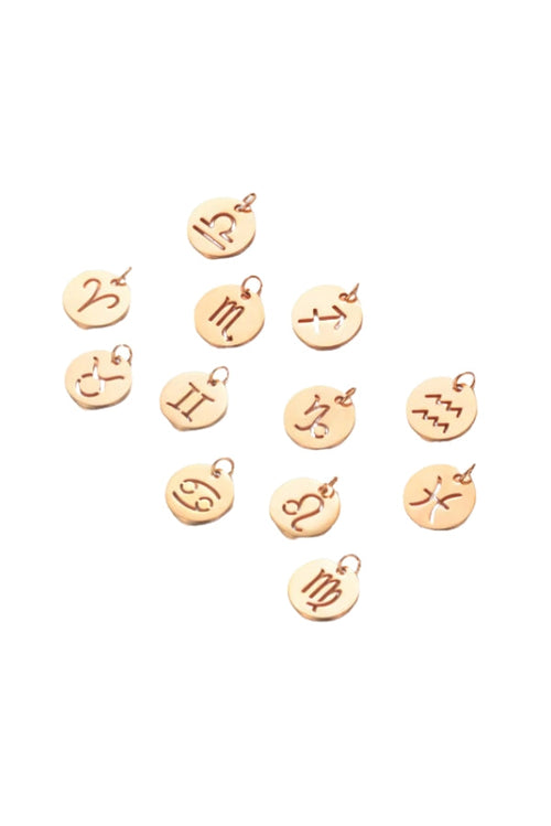 The Zodiac Charm